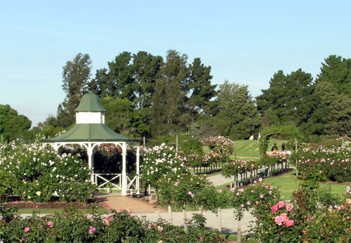 external image ?format=750w