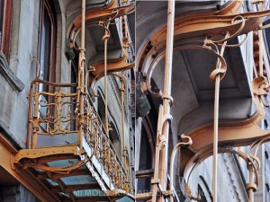 external image DSC_9556+copy.jpg